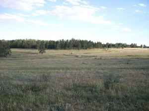 100_0172 100_0172